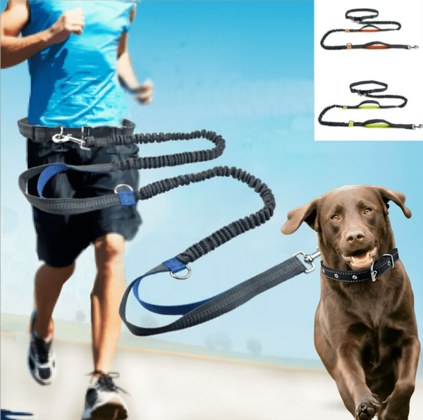 Reflecterende Hondenriem voor Joggen